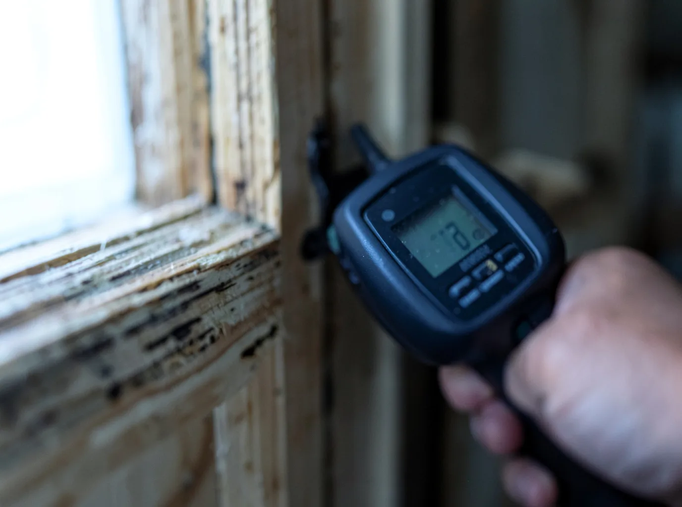 Commercial Water Damage Restoration in Rimrock, AZ